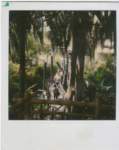 photo7_small.jpg