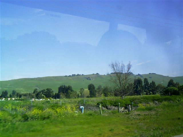 618x457 pixels (32K)