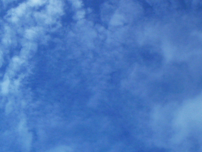 778x577 pixels (89K)