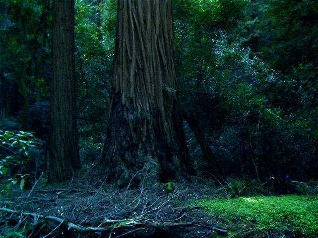 618x457 pixels (68K)
