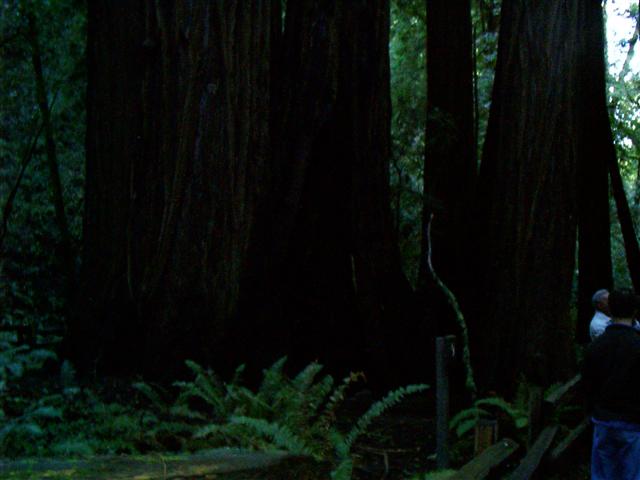 618x457 pixels (36K)