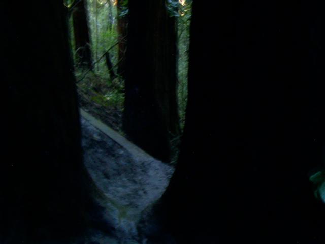 618x457 pixels (19K)