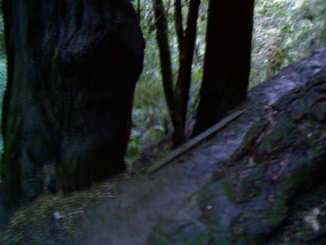 618x457 pixels (42K)
