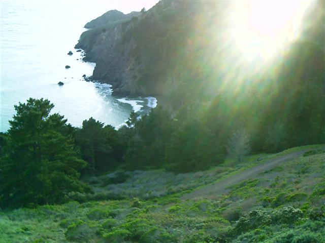 618x457 pixels (43K)